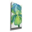 Iris Bloom in Green I  by Tim O Toole, Canvas Wall Art For Discount