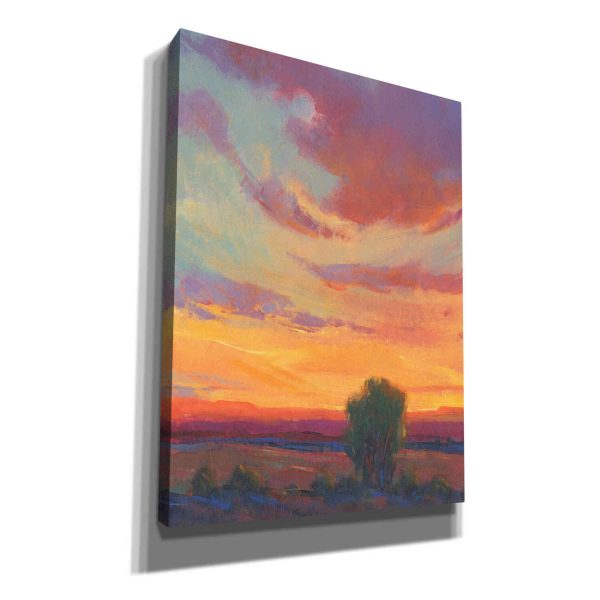 Fire in the Sky I  by Tim O Toole, Canvas Wall Art For Discount