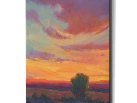 Fire in the Sky I  by Tim O Toole, Canvas Wall Art For Discount