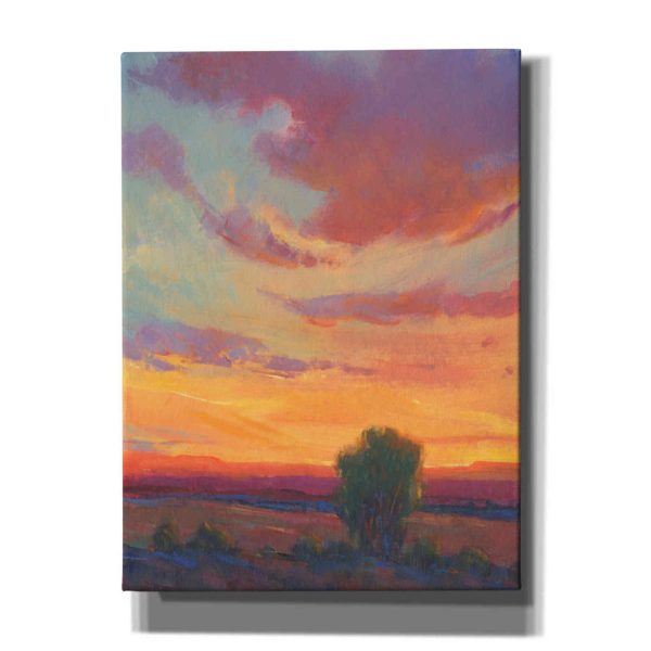 Fire in the Sky I  by Tim O Toole, Canvas Wall Art For Discount