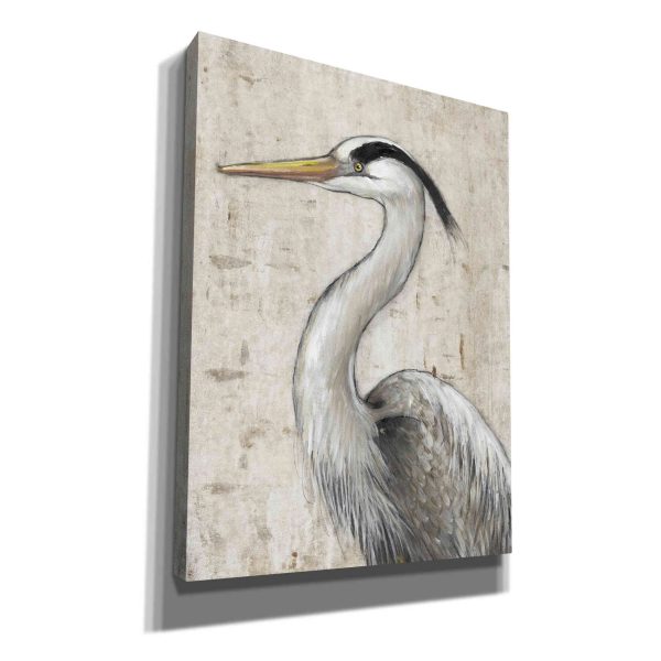 Grey Heron II  by Tim O Toole, Canvas Wall Art Fashion