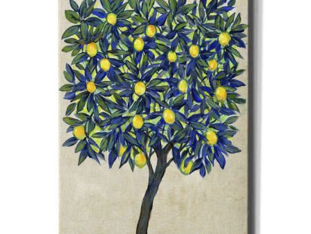 Lemon Tree Composition II  by Tim O Toole, Canvas Wall Art For Discount