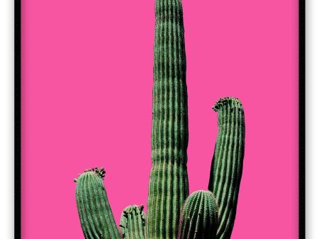 Fluro Cactus Online Sale