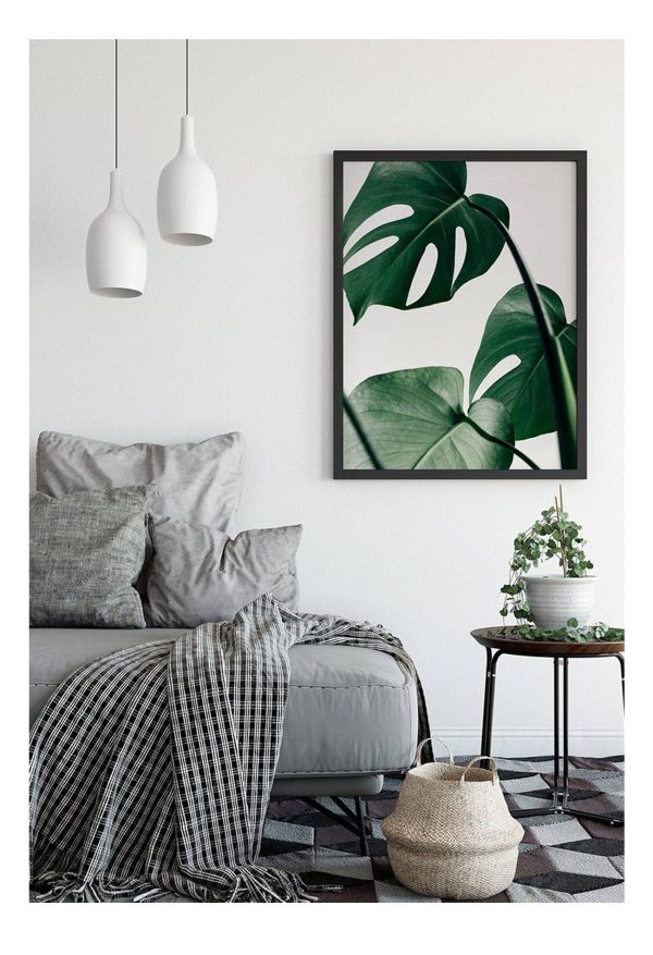 Monstera Leaf For Discount