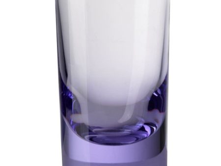 Mario Luca Giusti Set of 6 Whiskey Tumbler Lilac Cheap