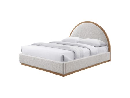 CAMA QUEEN TOME Supply