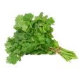 Cilantro For Sale